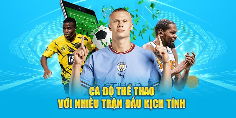 Tổng Hợp Những Thông Tin Giới Thiệu Về Hi88 Cho Người Mới - hình ảnh - zgohwtaso.top