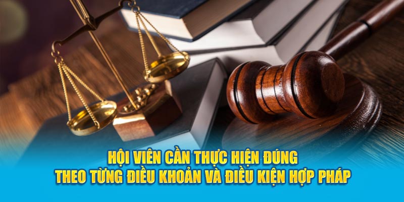 Điều khoản và điều kiện HI88 – Đảm bảo lợi ích cho hội viên - hình ảnh - zgohwtaso.top Điều khoản và điều kiện HI88 – Đảm bảo lợi ích cho hội viên - hình ảnh - zgohwtaso.top