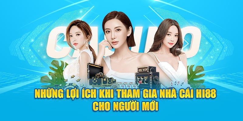 Tổng Hợp Những Thông Tin Giới Thiệu Về Hi88 Cho Người Mới - hình ảnh - zgohwtaso.top