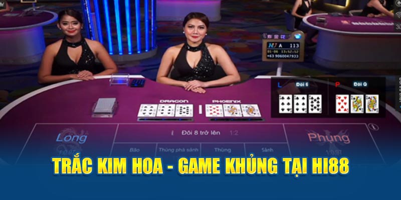 Trắc Kim Hoa – Sản Phẩm Giải Trí Được Yêu Thích Tại HI88 - hình ảnh - zgohwtaso.top Trắc Kim Hoa – Sản Phẩm Giải Trí Được Yêu Thích Tại HI88 - hình ảnh - zgohwtaso.top