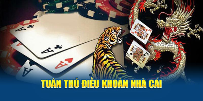 Rồng Hổ Cùng Những Kinh Nghiệm Chiến Thắng Tại HI88 - hình ảnh - zgohwtaso.top Rồng Hổ Cùng Những Kinh Nghiệm Chiến Thắng Tại HI88 - hình ảnh - zgohwtaso.top